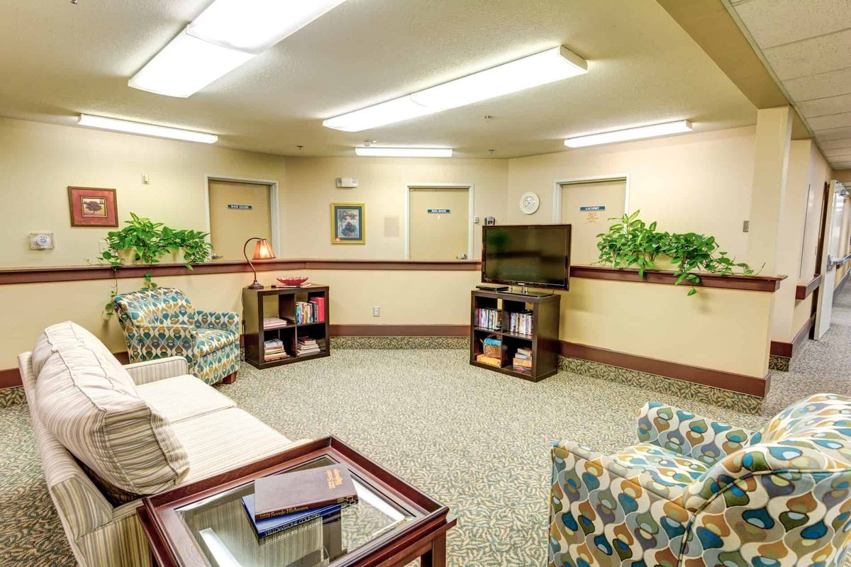 A cozy waiting room with sofas, a television, and decorative plants.