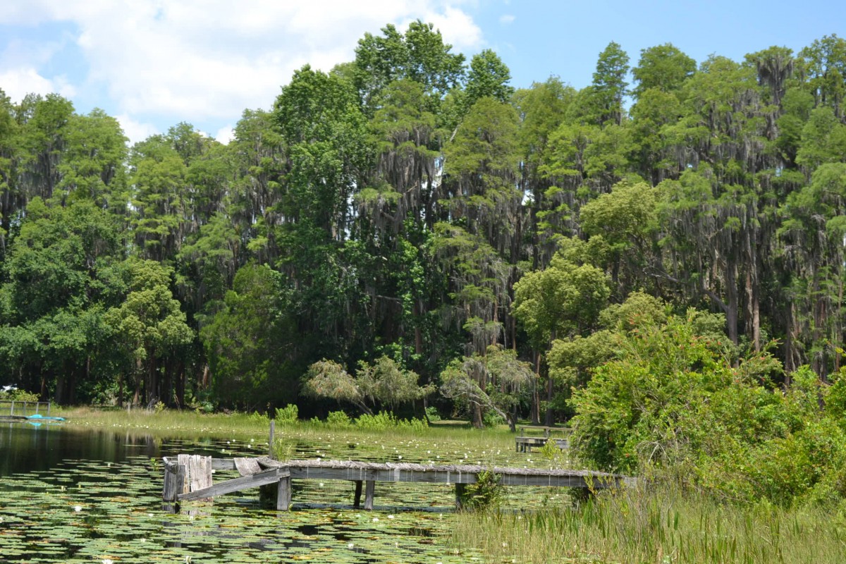 Home Space Assisted Living on Cypress Lake