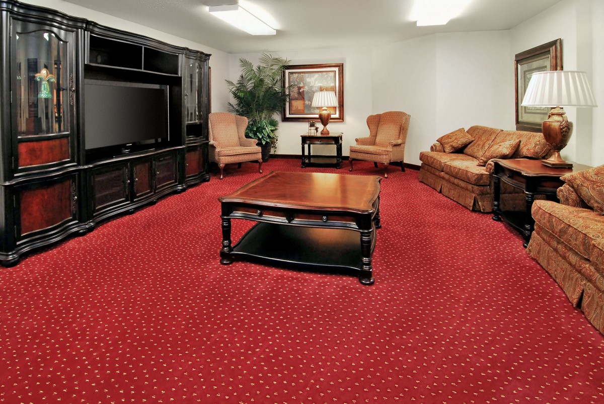 A cozy living room with red carpeting, featuring a large television, a dark wooden coffee table, comfortable armchairs, a sofa, and decorative elements like a lamp and an indoor plant.