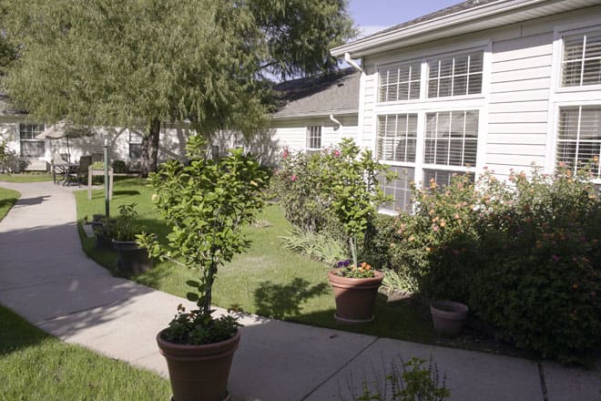 A sunny garden with potted plants lining a pathway in front of a house.