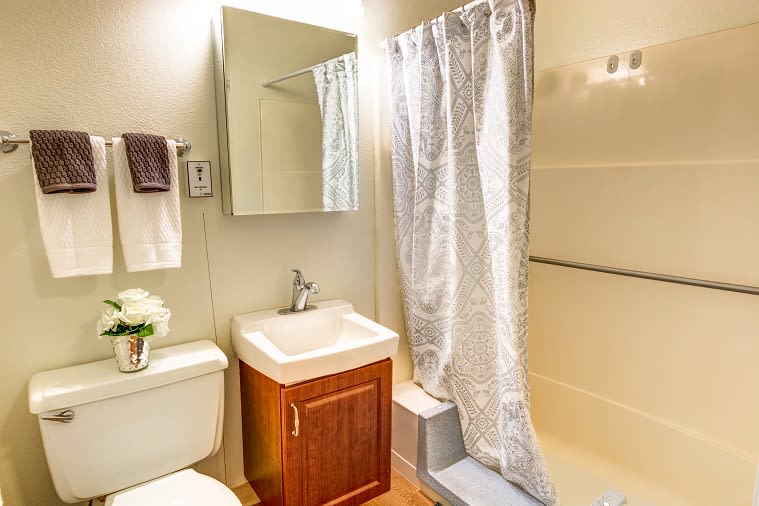 A tidy bathroom with a sink, mirror, shower curtain, and decorative elements.
