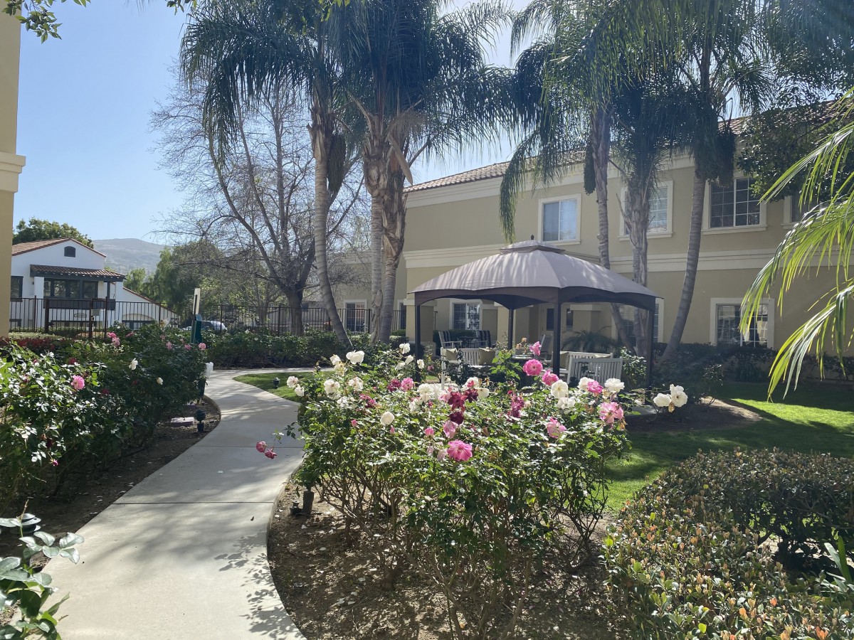 A sunny garden with a pathway, surrounded by flowers and palm trees, leading to a gazebo beside a building.