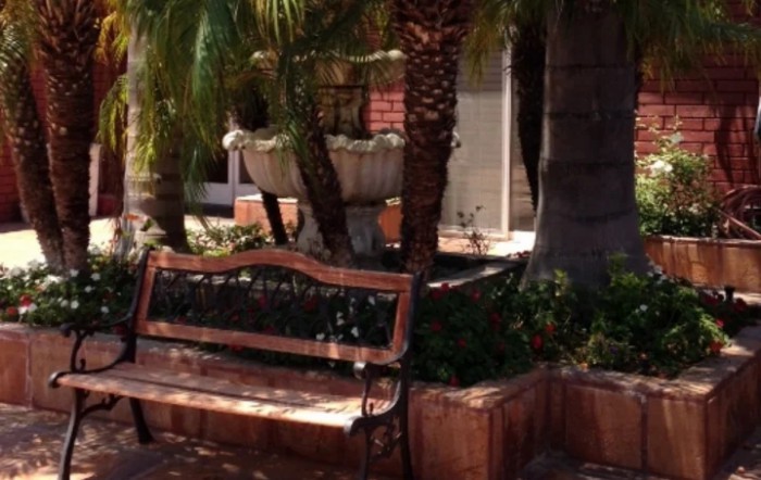 A peaceful garden scene with a wooden bench surrounded by palm trees and a fountain.