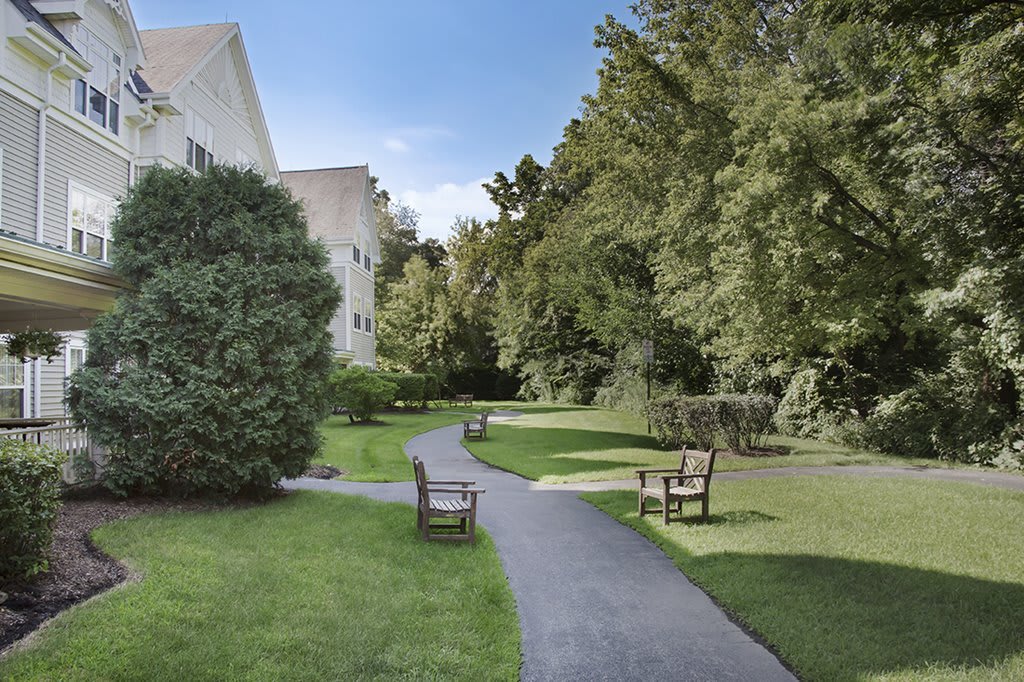 A serene garden with a winding pathway, bordered by lush greenery and benches.