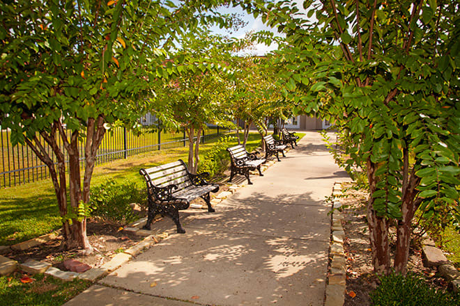 A serene park pathway lined with benches and shaded by lush trees.