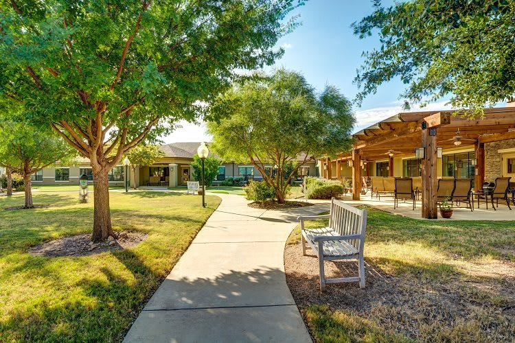 A sunny pathway flanked by trees and benches in a landscaped garden.