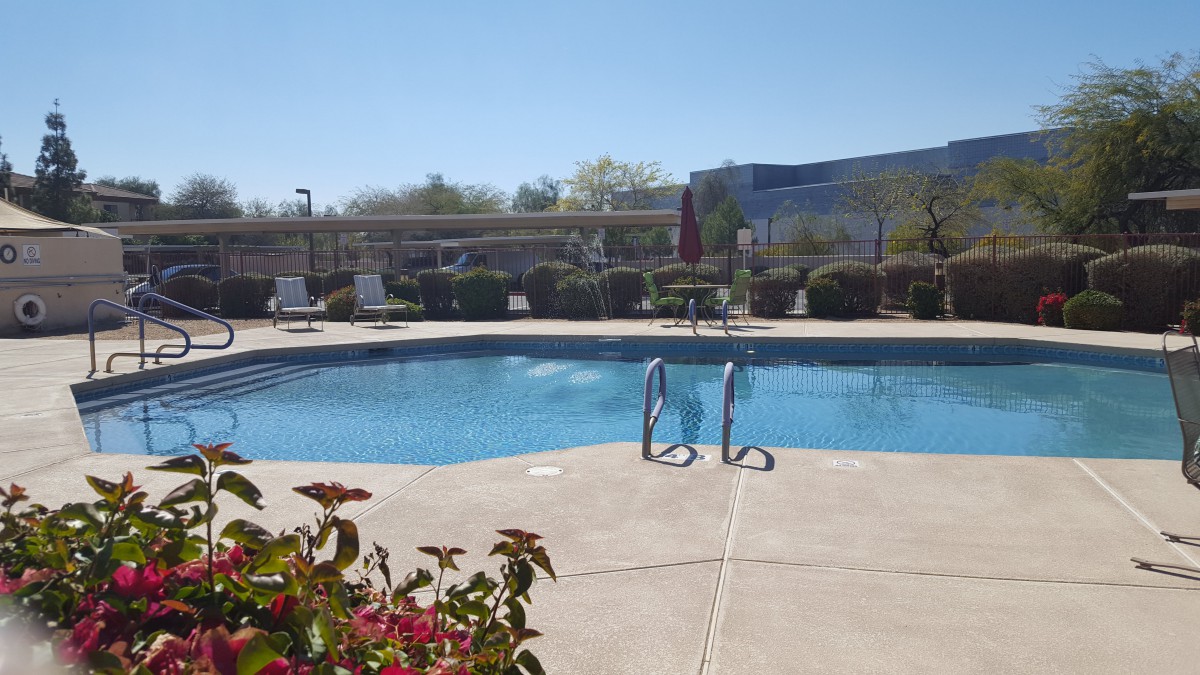 A sunny day by an outdoor swimming pool, perfect for relaxation.