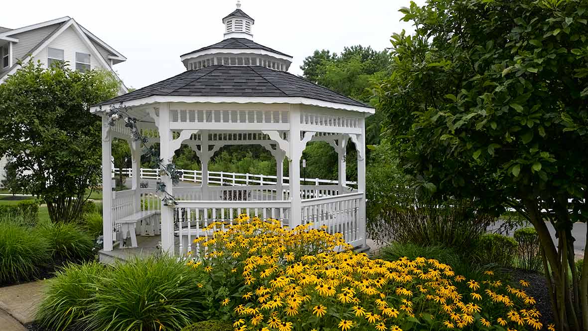 A charming white gazebo surrounded by vibrant yellow flowers in a lush garden setting.