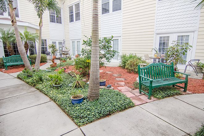 A tranquil courtyard with a lush garden, featuring a green bench, paved pathways, and a palm tree in front of a building exterior.