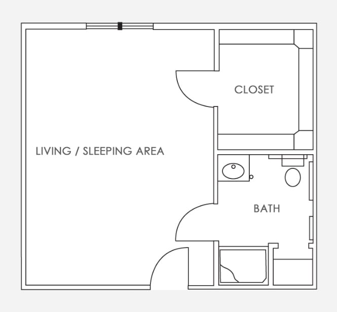 This is a floor plan of a studio apartment featuring a living/sleeping area, a closet, and a bathroom.