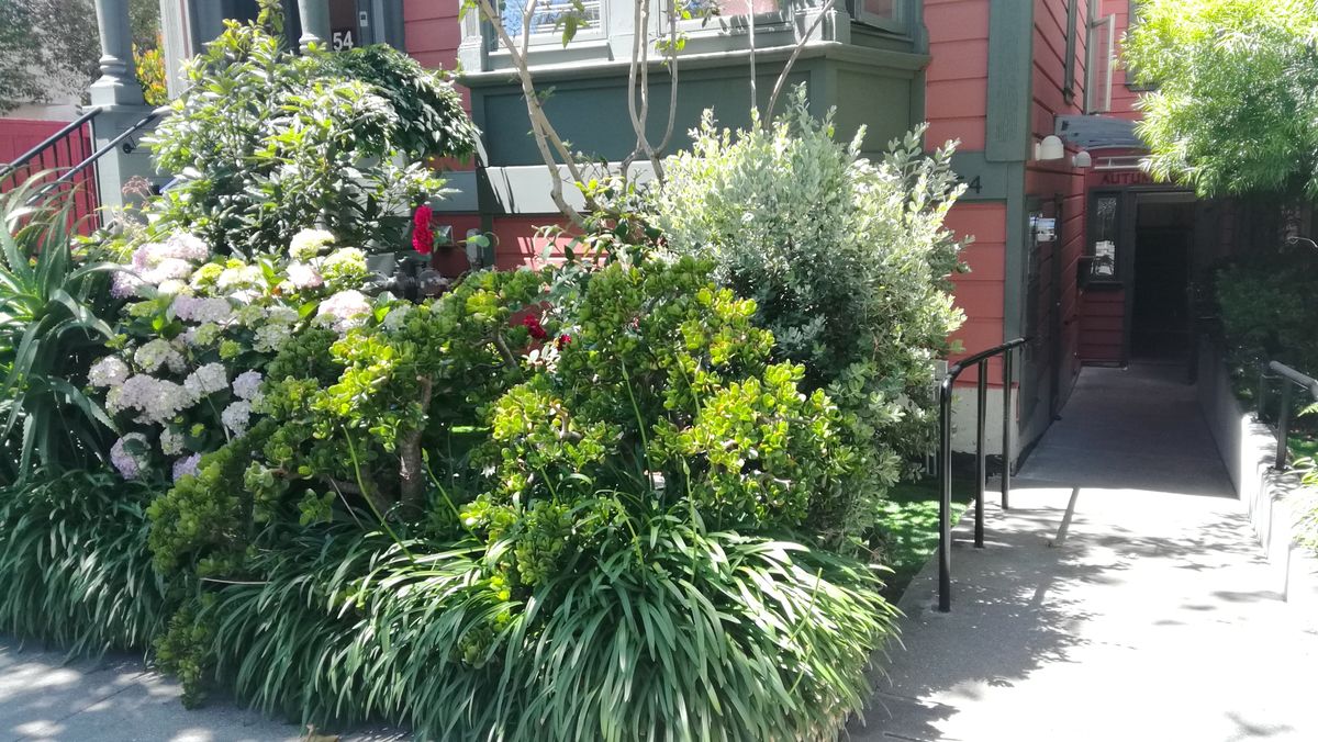 A lush garden with a variety of vibrant plants and flowers in front of a building.