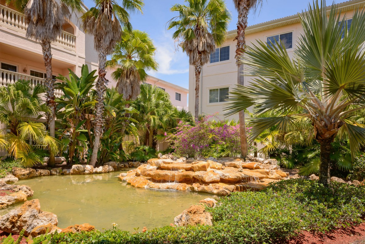 A tranquil garden with a pond surrounded by tropical plants and palm trees near a building.