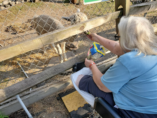 Mountain View Care And Rehabilitation Center