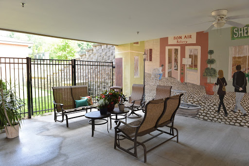A cozy outdoor seating area featuring comfortable chairs, a table with plants, and a colorful mural in the background.
