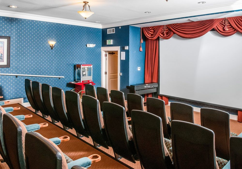 A small private theater with rows of seating and a screen at the front.