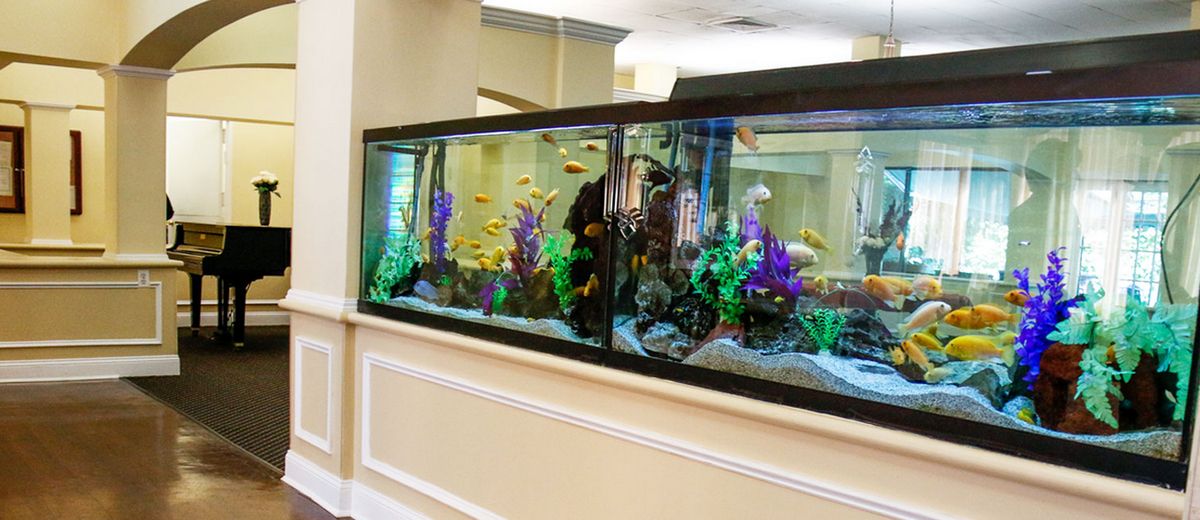 Signature Senior Living