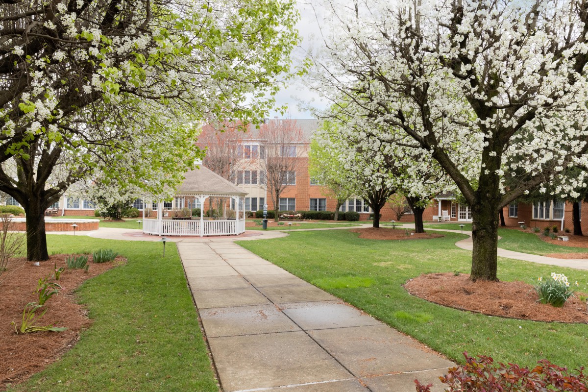 Village Manor