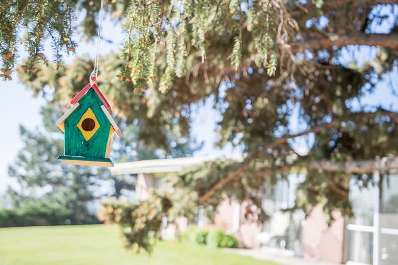 A colorful birdhouse hangs from a tree branch in a garden setting.