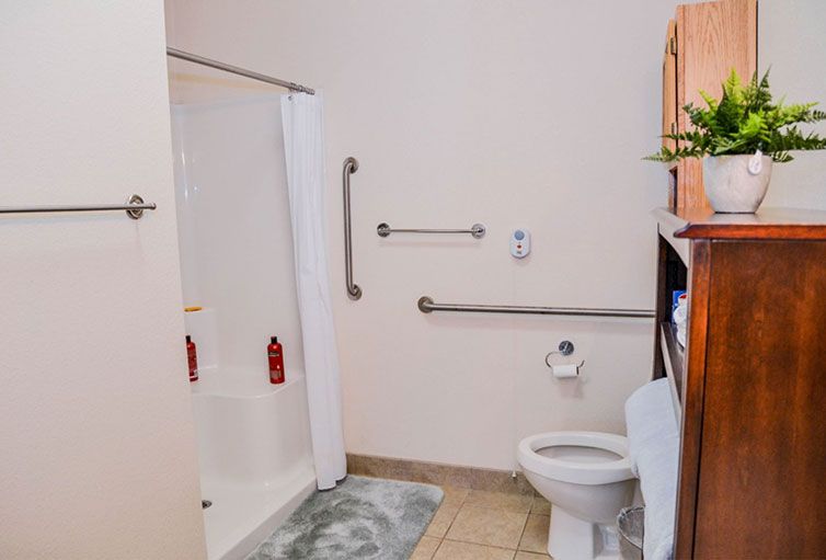 An accessible bathroom with a shower and grab bars.