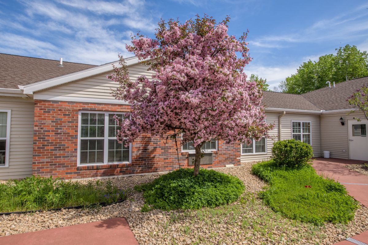 A charming house with a beautifully blooming tree in the front yard, showcasing vibrant spring landscaping.