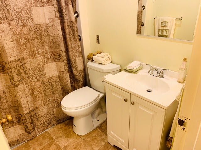 A cozy bathroom with a toilet, sink, and shower curtain.
