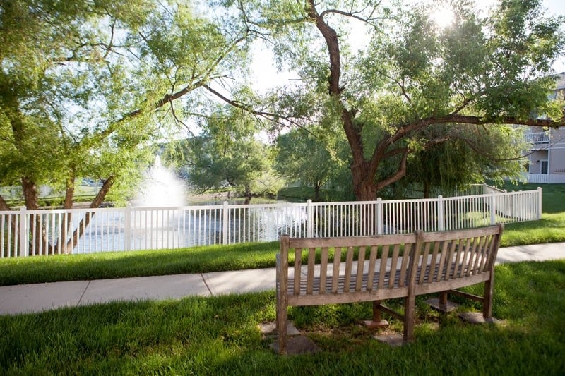 A peaceful park scene featuring a wooden bench, a white fence, lush trees, and a tranquil lake with a fountain under the warm sunlight.