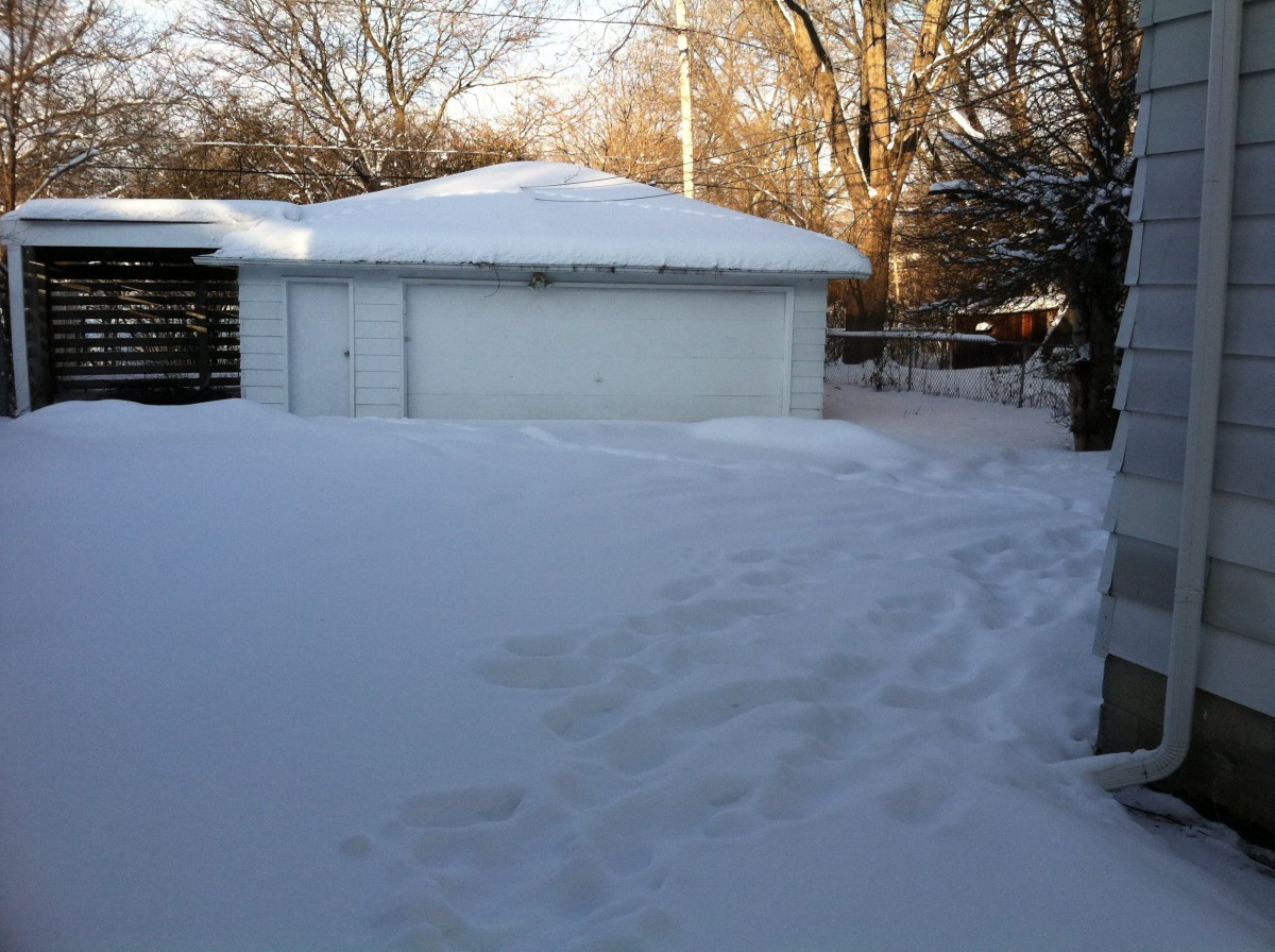 A snowy backyard with footprints leading to a garage on a winter day.