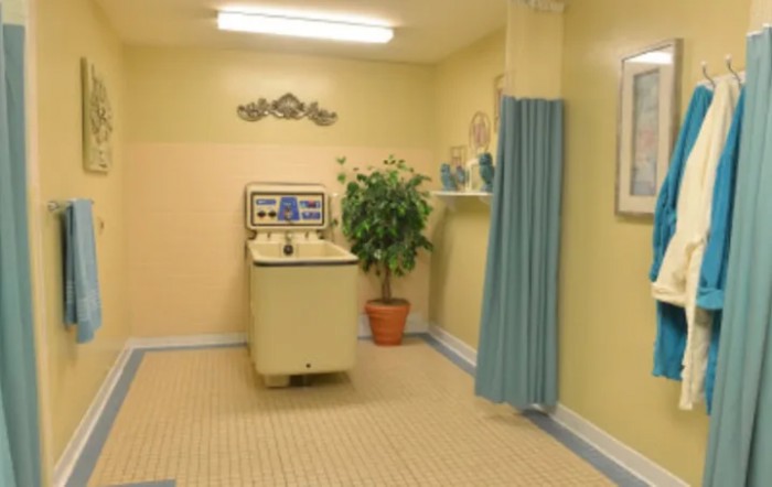A vintage laundry room with a retro washing machine and potted plant.