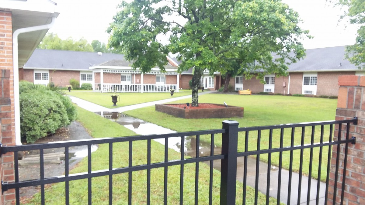 A courtyard with a tree in the center, surrounded by grassy areas and pathways, enclosed by a fence.