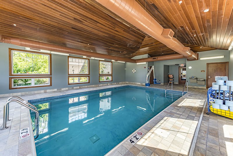 A serene indoor swimming pool with a wooden ceiling and large windows allowing natural light to fill the space.