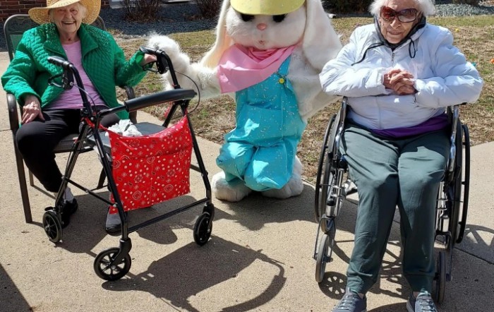 Regency Park Nursing & Rehab Center Of Carroll