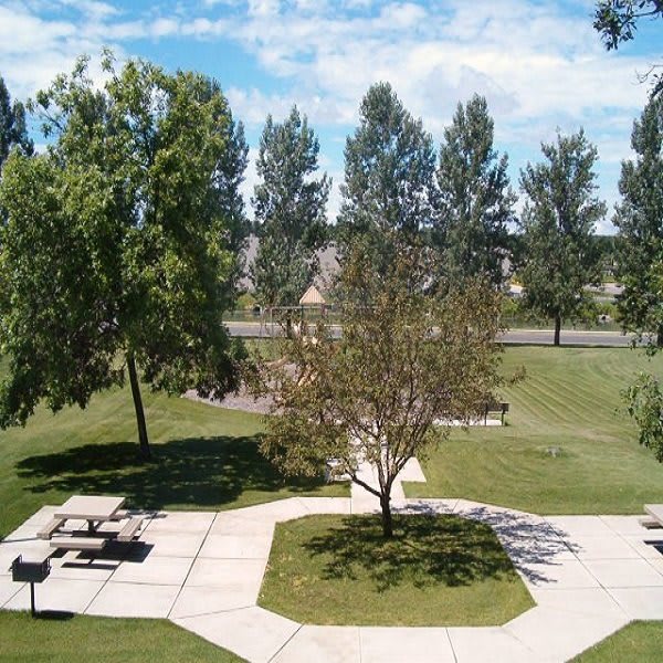 A serene park with picnic tables, lush green grass, and tall trees under a blue sky.