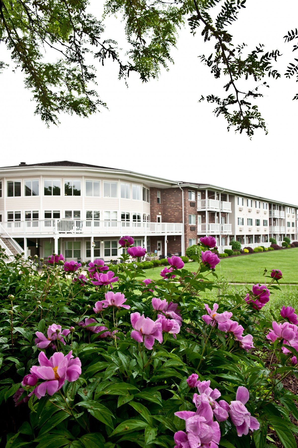 A residential building surrounded by vibrant flowers and greenery.