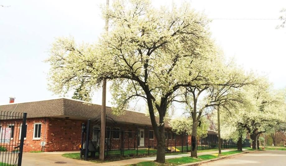 The Vernon Center