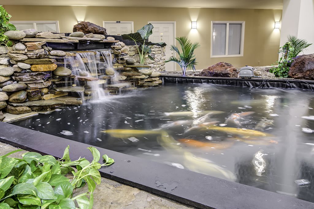 A serene indoor pond with colorful koi fish and a small waterfall, surrounded by decorative plants and stones.