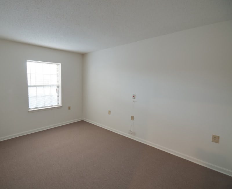 An empty room with a window and carpeted floor.