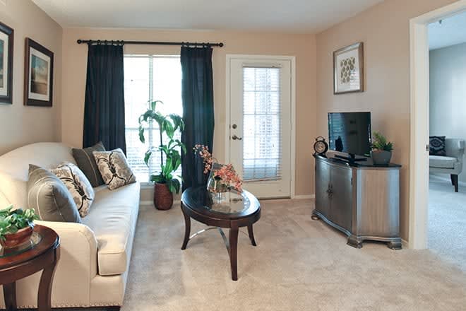A cozy living room with a sofa, coffee table, TV stand, and a plant near the window.