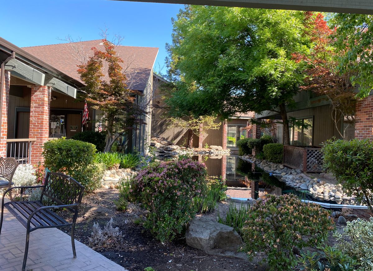 A serene outdoor garden area with lush greenery and a surrounding building.