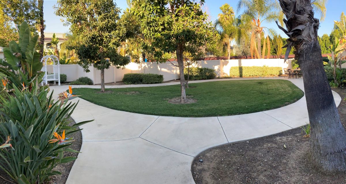 A peaceful garden with a winding pathway surrounded by lush grass and trees.