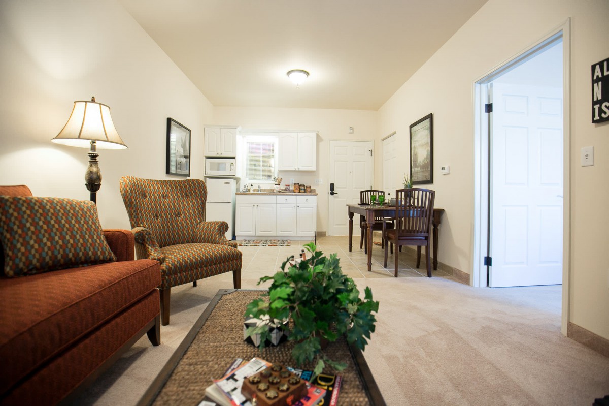 A cozy living room with a kitchenette, featuring comfortable seating and stylish decor.