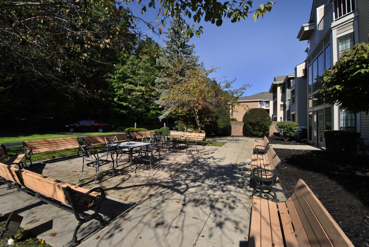 A sunny patio area with benches, tables, and chairs surrounded by trees.