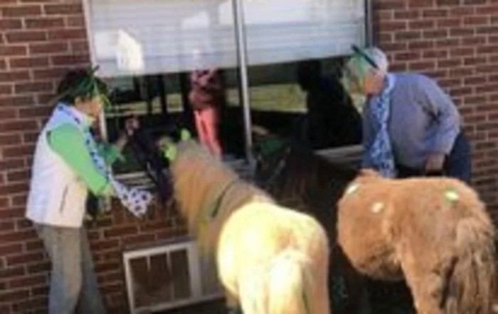 People interacting with horses through a window at a building.