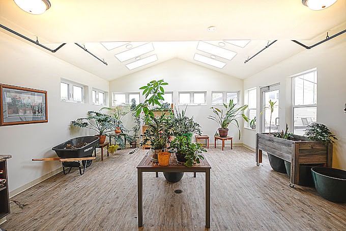 A bright sunroom filled with various potted plants and natural light streaming through skylights.