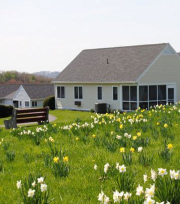 A cozy house surrounded by a lush green lawn dotted with spring flowers and a wooden bench.