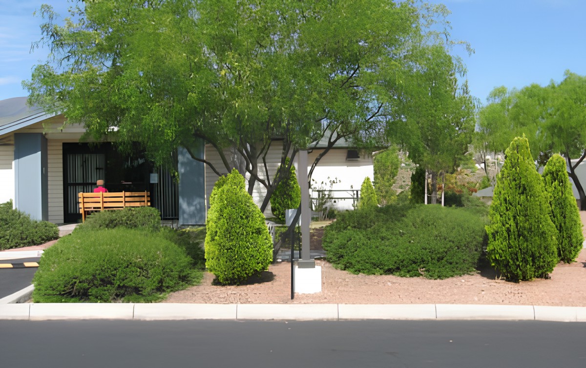 A suburban house with well-maintained landscaping, featuring a large tree and various shrubs near a driveway.