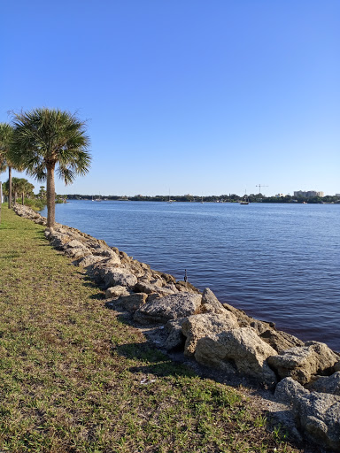 A serene view of the river bordered by palm trees and rocky shorelines under a clear blue sky.