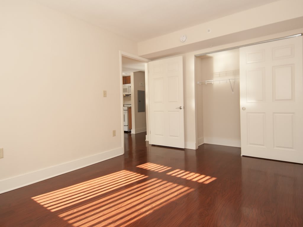 A sunlit empty room with hardwood floors and a closet.