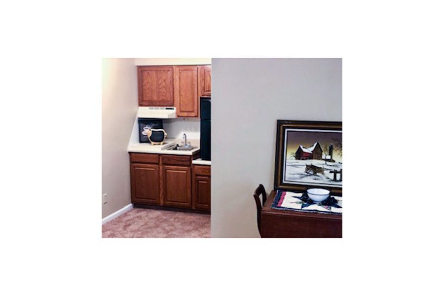 A small kitchen area with wooden cabinets and a countertop, accompanied by a piece of artwork on the wall.