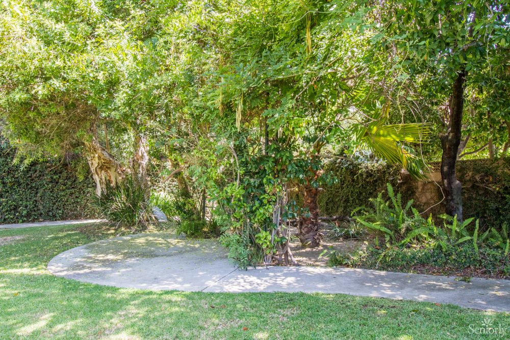 A lush garden filled with various trees and a small pathway winding through the greenery.