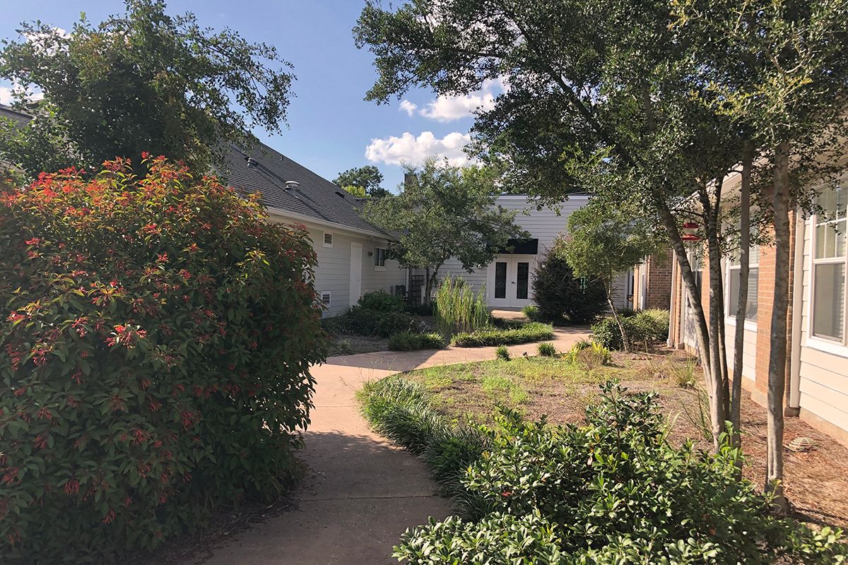 A residential house surrounded by a landscaped garden with a pathway.